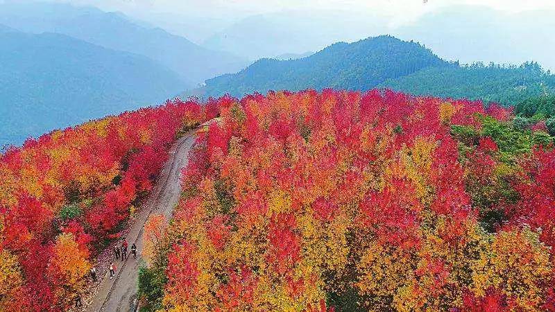 德阳旅游景点推荐，德阳最值得去的地方