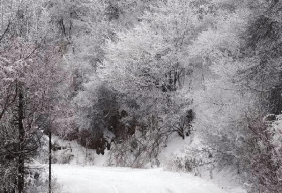 北京十大赏雪景点，北京十大最佳观雪圣地