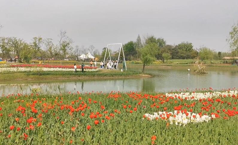 芜湖旅游攻略（芜湖周边自驾游八大景点）