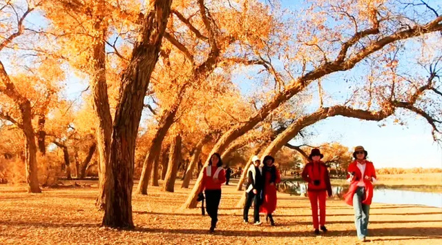 十月最佳旅游景点排名，十月份去哪里旅游好