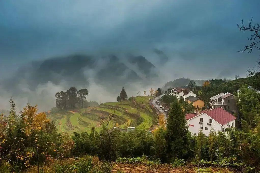 浙江临安秋季景点推荐，秋天临安旅游景点