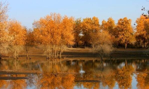 新疆17个5a级景区名单，新疆17个5A级景区大全