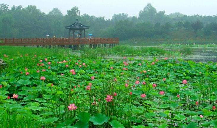 圆明园简介，圆明园图片，圆明园门票